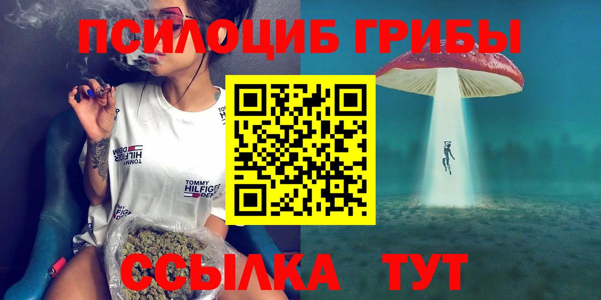 Малоярославец  купить наркоту  Галлюциногенные грибы Psilocybe  Вход с VPN  Галлюциногенные грибы Cubensis 